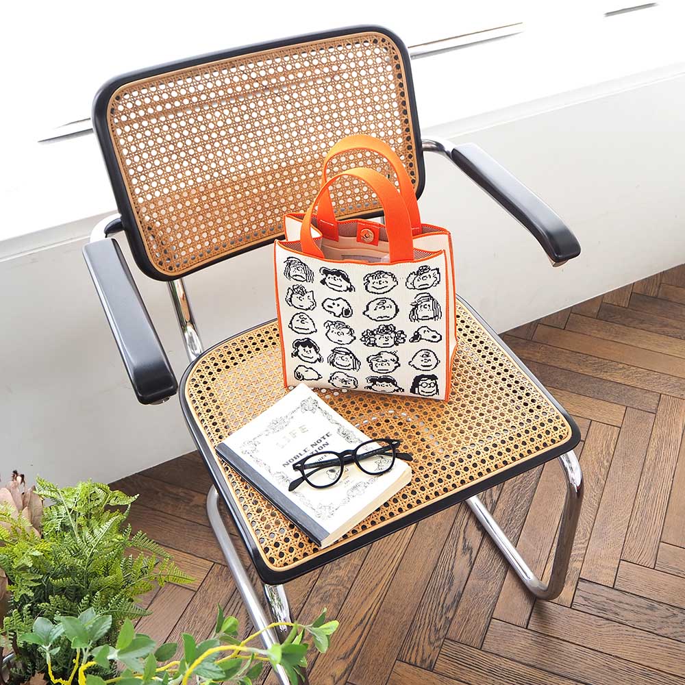 Peanuts Gang Cubic Bag