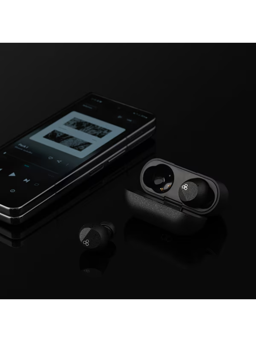 Final ZE3000 SV True Wireless Earbuds