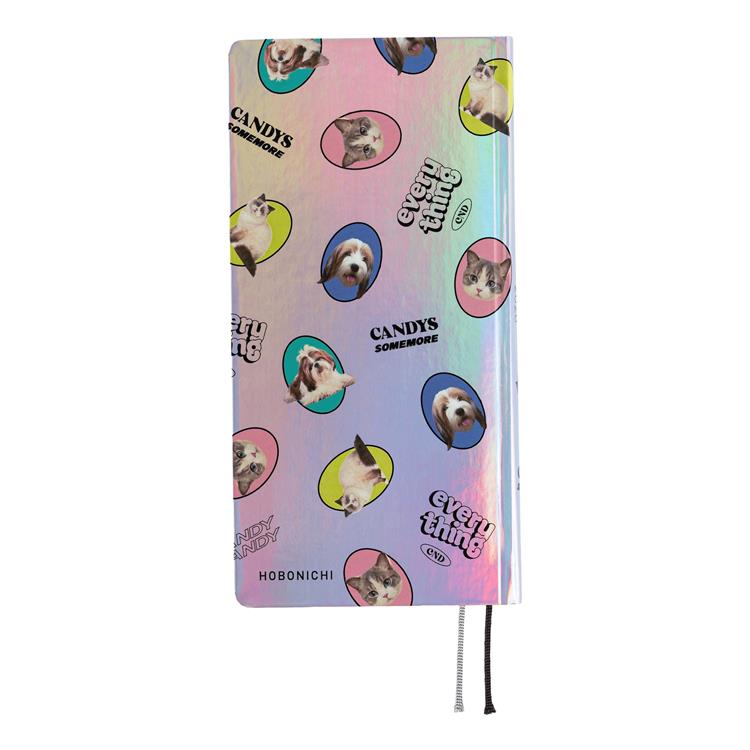 Hobonichi Weeks Candy Stripper Aurora Planner