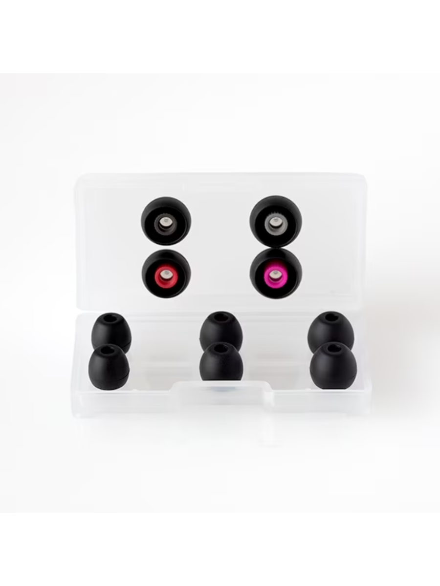 Final A4000 In-Ear Monitor Earphones (2-Pin) FI-A4DPLDN