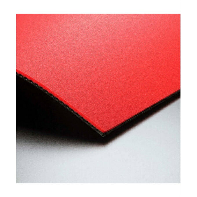 Butterfly DIGNICS 05 Table Tennis Rubber