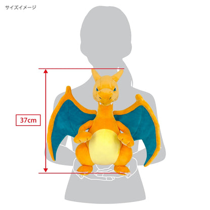 Pokemon All Star Collection Charizard Medium Plush