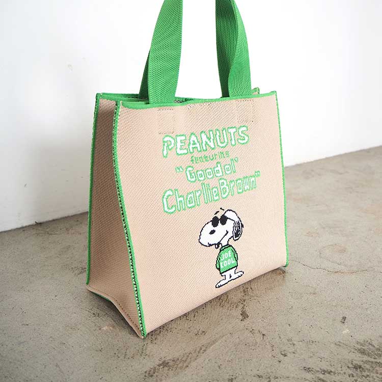 Peanuts Joe Cool Cubic Bag