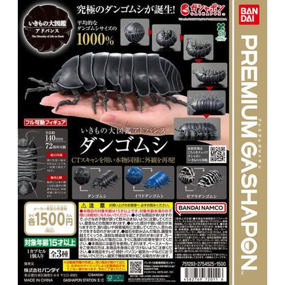 Biological Encyclopedia Advanced Dungoshi Gashapon - Set of 3 Figures