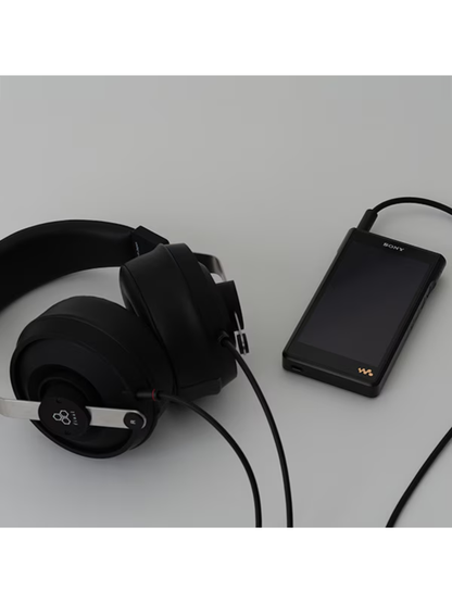 Final DX3000 CL Closed-Back Over-Ear Headphones