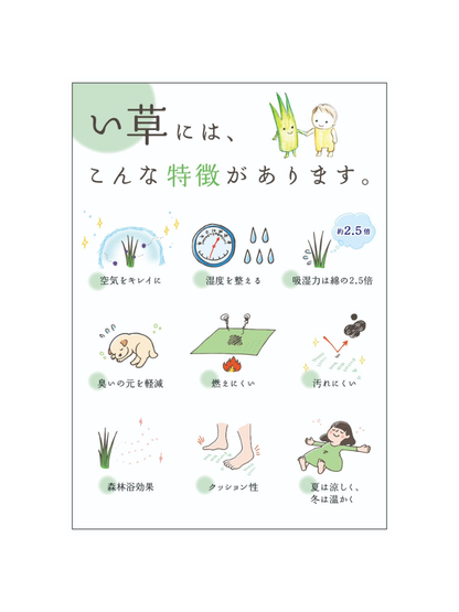 My Neighbor Totoro Mini Flat Igusa Pillow