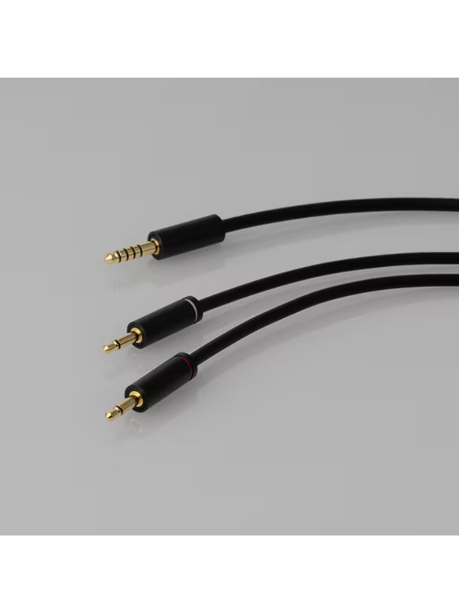 Final DX3000 CL Closed-Back Over-Ear Headphones