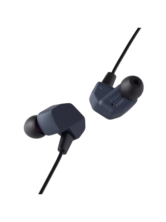 Final A4000 In-Ear Monitor Earphones (2-Pin) FI-A4DPLDN