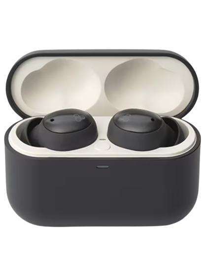 Final ZE500 for ASMR True Wireless Earbuds