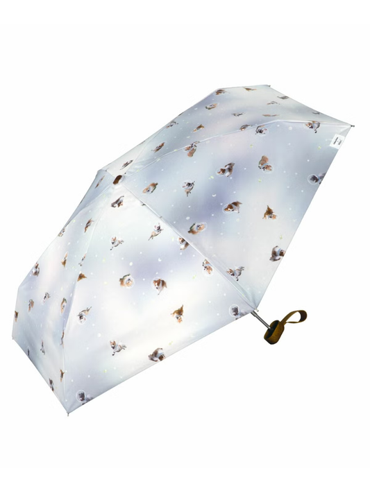 Hikouken x Wpc Compact UV Protection Umbrella