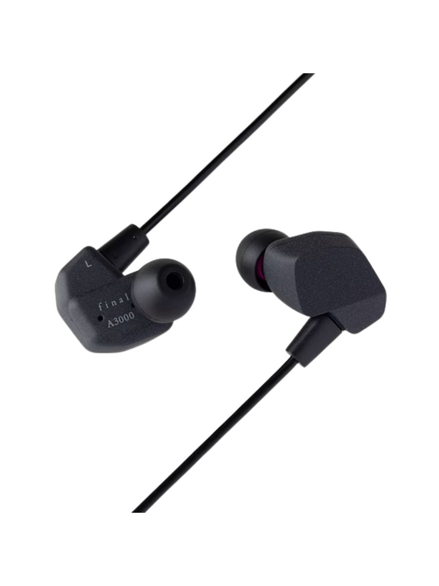 Final A3000 In-Ear Monitor Earphones