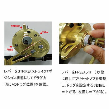 Daiwa Sealine LD60-IISP 00607731 Spinning Reel