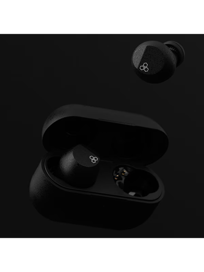 Final ZE3000 SV True Wireless Earbuds