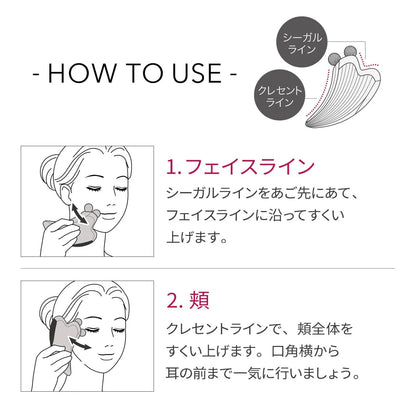 ReFa CAXA Ray Facial Massage Tool