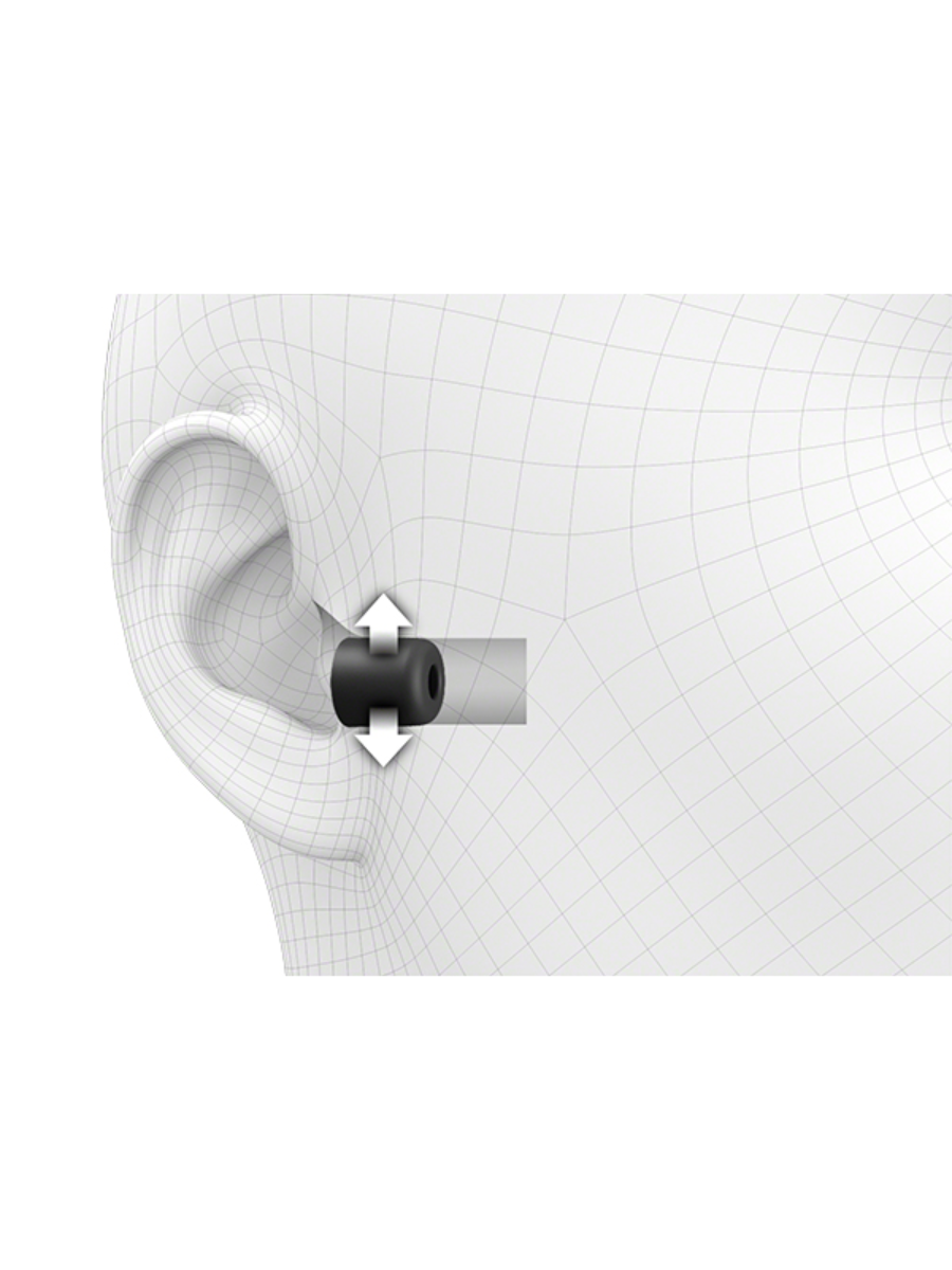 Sony EP-NI1010 Noise Isolation Ear Tips