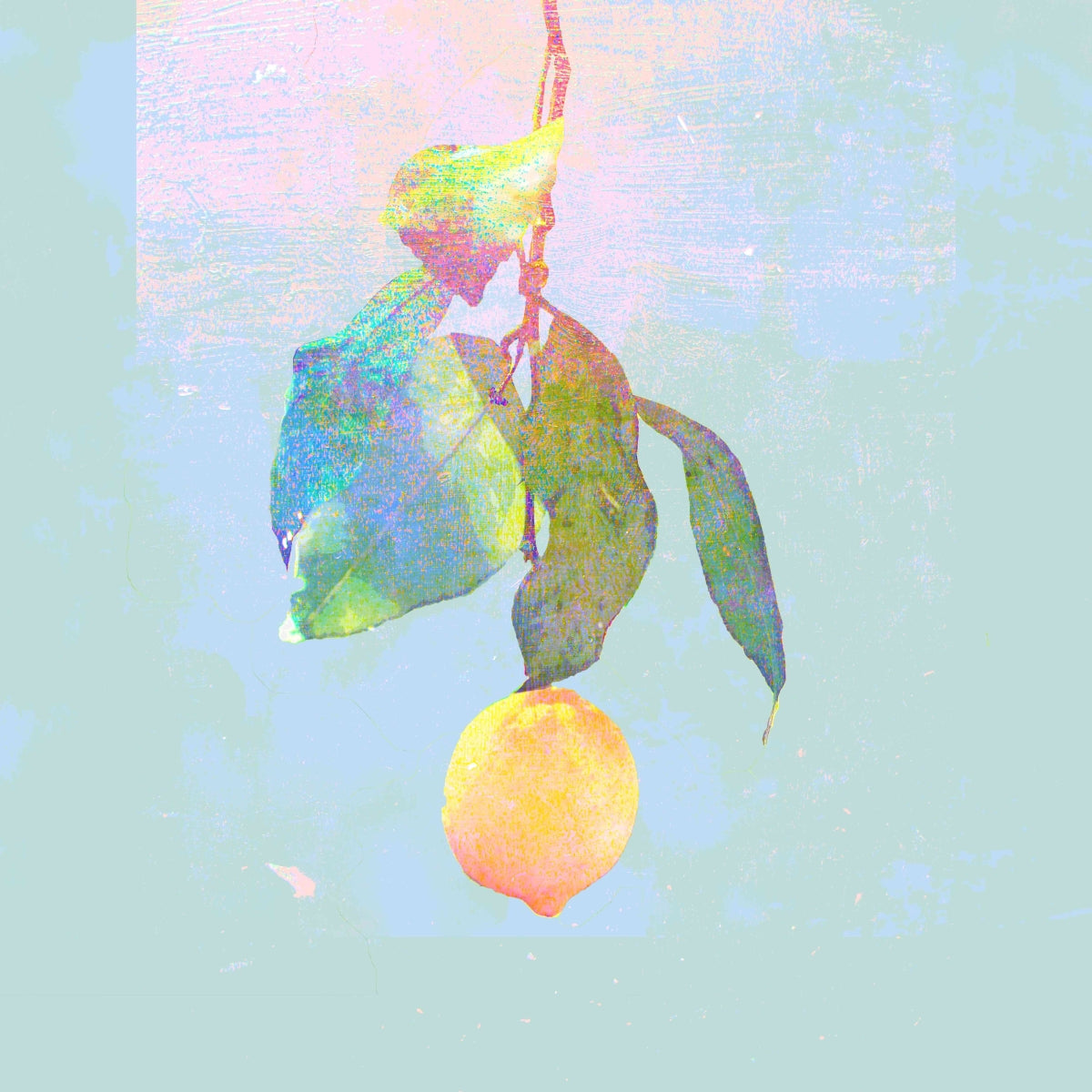 Kenshi Yonezu First Limited Edition Lemon Video CD+DVD