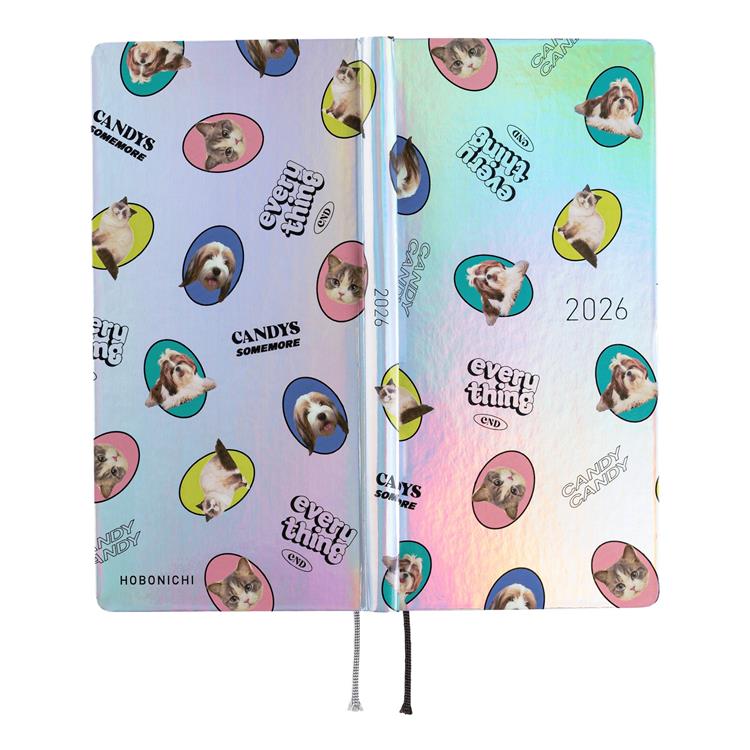 Hobonichi Weeks Candy Stripper Aurora Planner