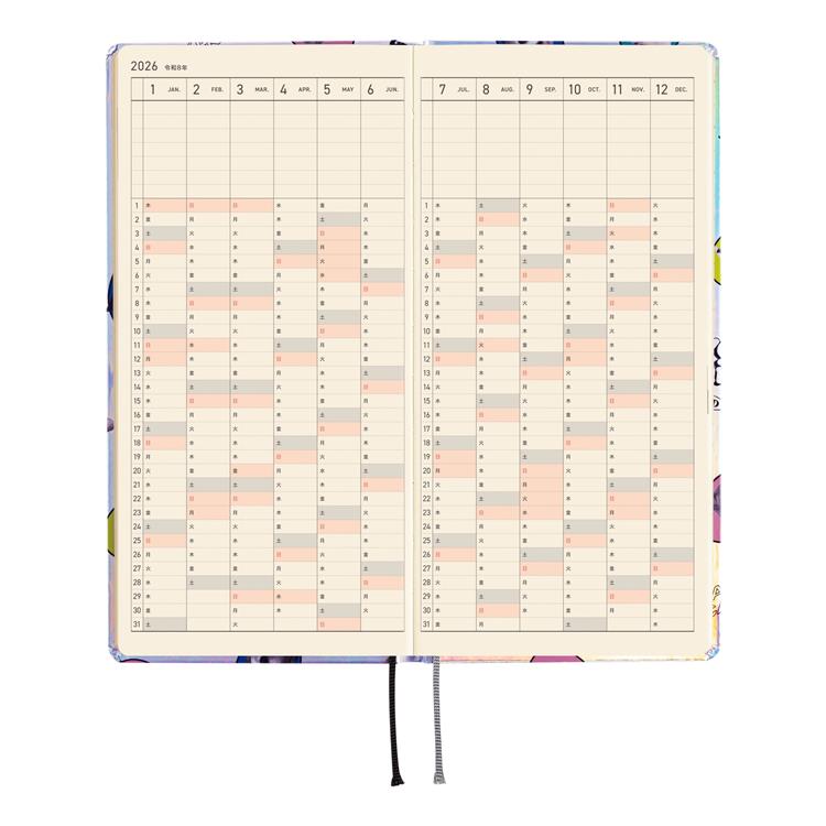 Hobonichi Weeks Candy Stripper Aurora Planner