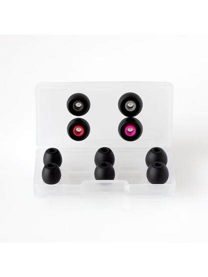 Final A4000 In-Ear Monitor Earphones (2-Pin) FI-A4DPLDN