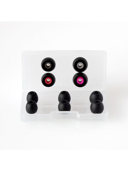 Final A3000 In-Ear Monitor Earphones
