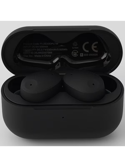 Final ZE300 True Wireless Earbuds