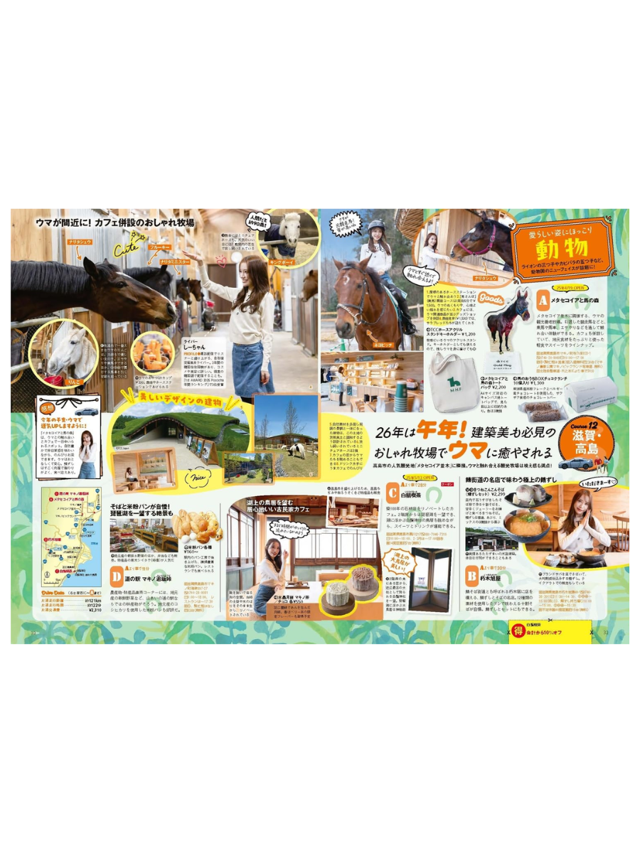 Tokai Walker Spring 2026: Ultimate Travel Guide
