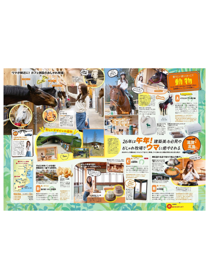 Tokai Walker Spring 2026: Ultimate Travel Guide
