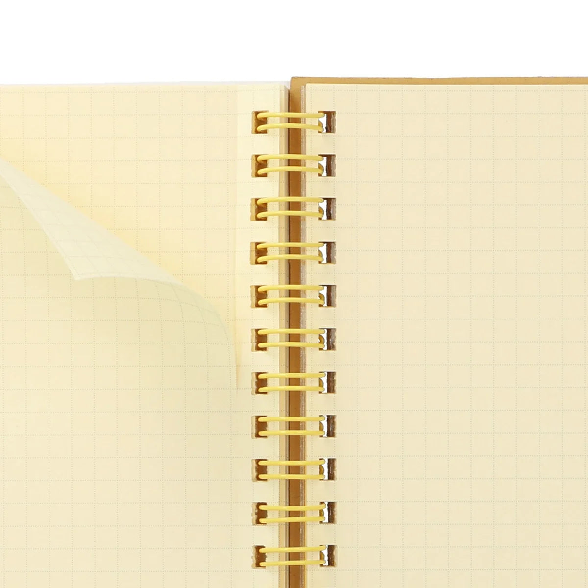 Rollbahn Pocket Memo L Size "Schola" Grid Notebook