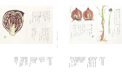 Art Exhibition Catalog Miyawaki Ayako Art Oversized Book Japanese