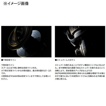 Daiwa 23 Saltiga 6000-P Spinning Reel