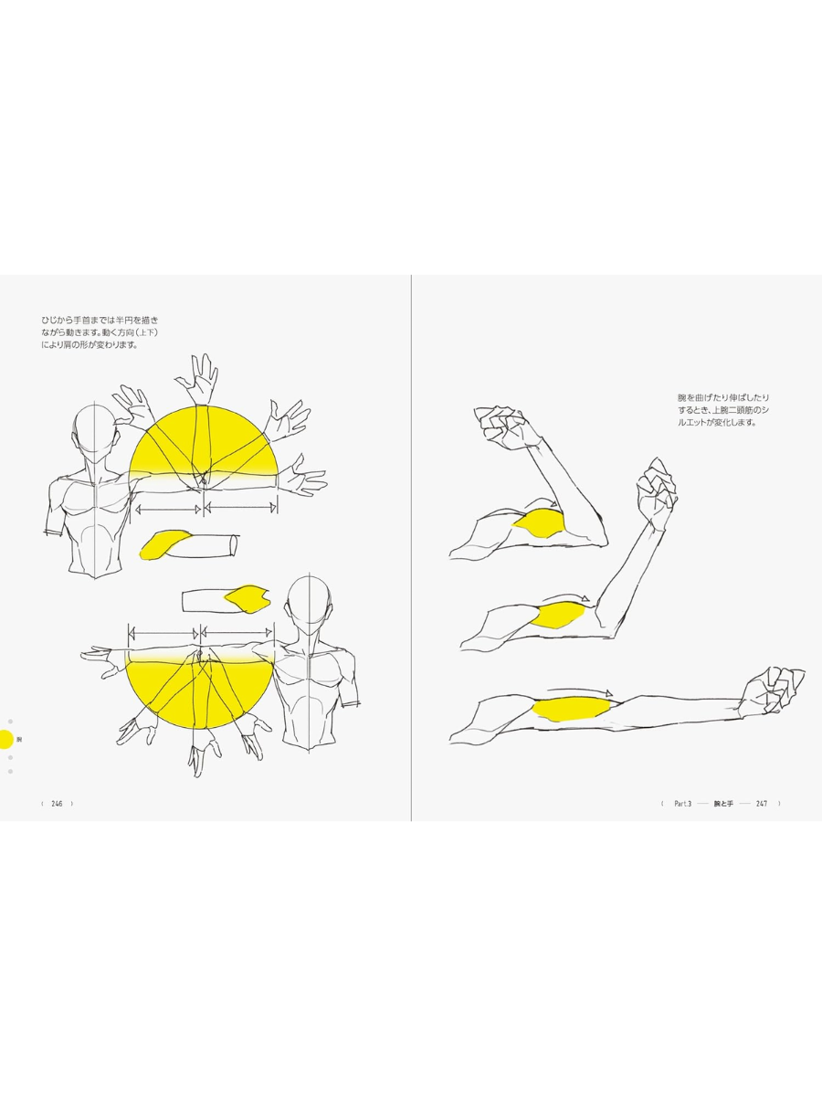 TACO's Human Figure Drawing Guide 390 Tips