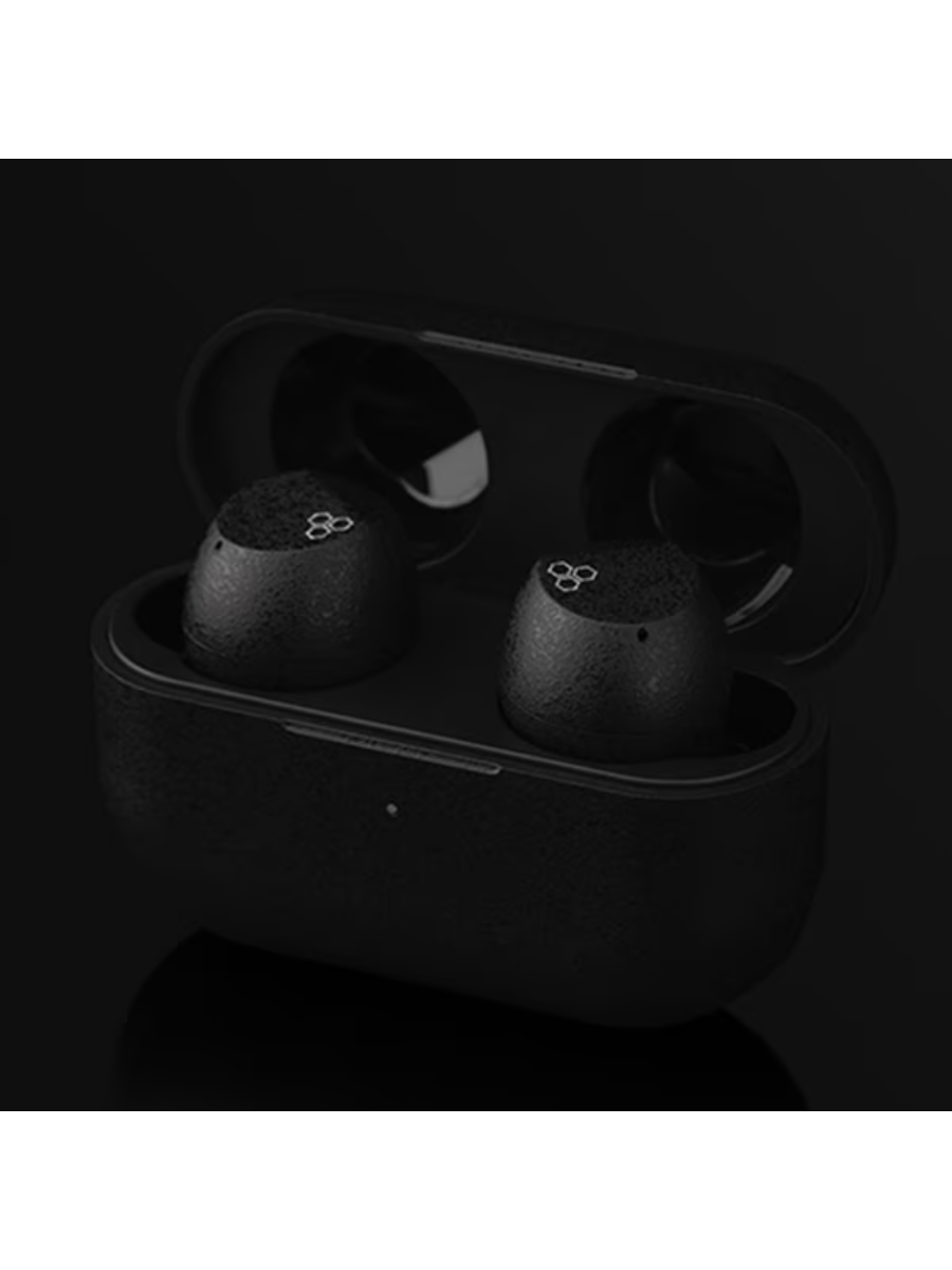 Final ZE3000 SV True Wireless Earbuds