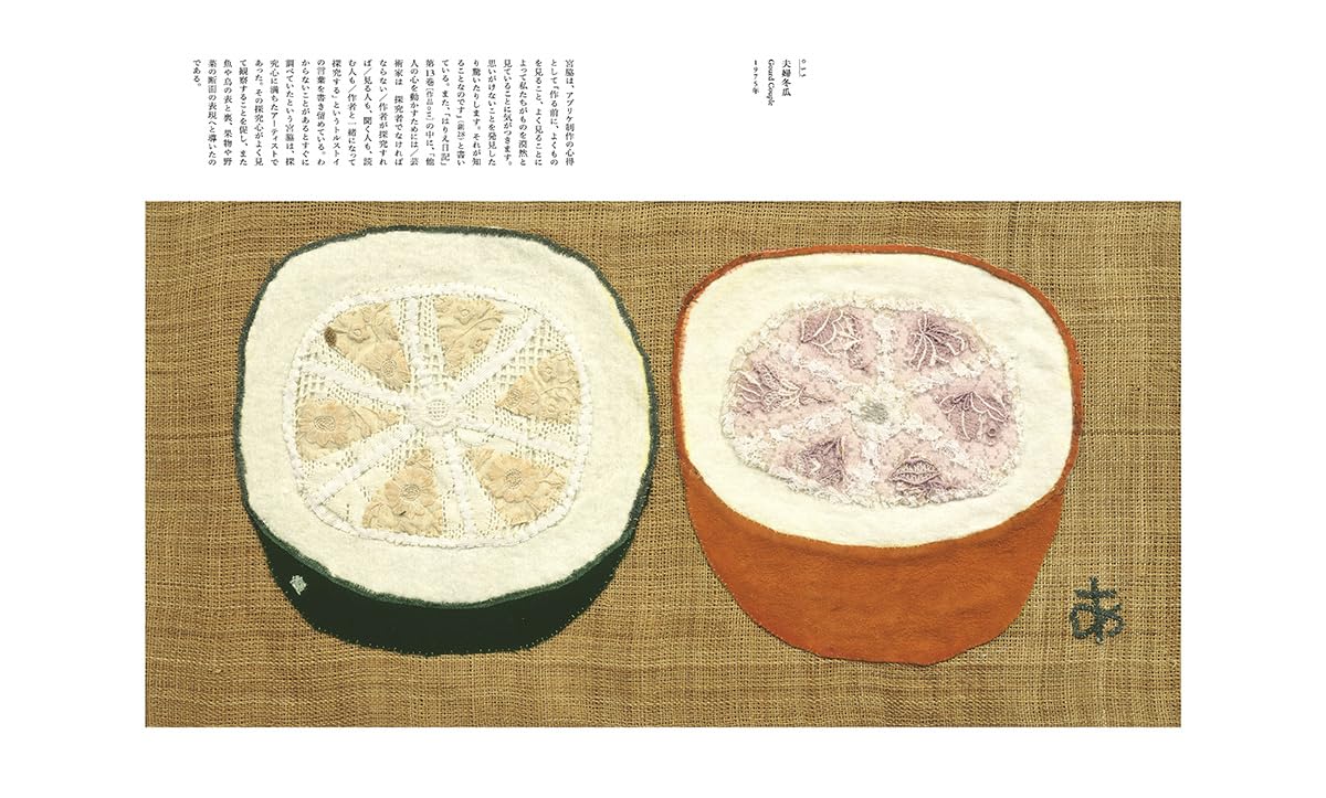 Art Exhibition Catalog Miyawaki Ayako Art Oversized Book Japanese