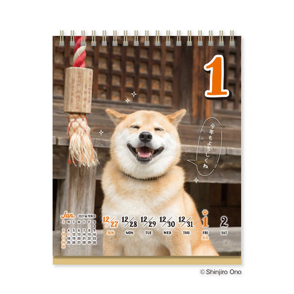 Shiba Inu Maru 2027 Weekly Desk Calendar