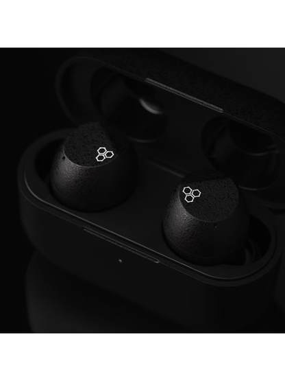 Final ZE3000 SV True Wireless Earbuds