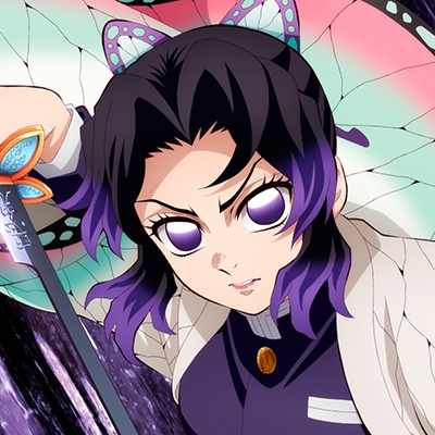Demon Slayer Kimetsu no Yaiba Infinity Mugen Castle Vinyl Record