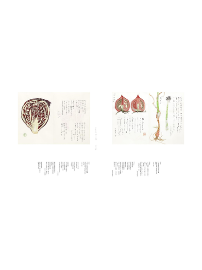 Ayako Miyawaki's Art: Saw, Cut, and Stitched - Exhibition Catalogue (Hardcover)