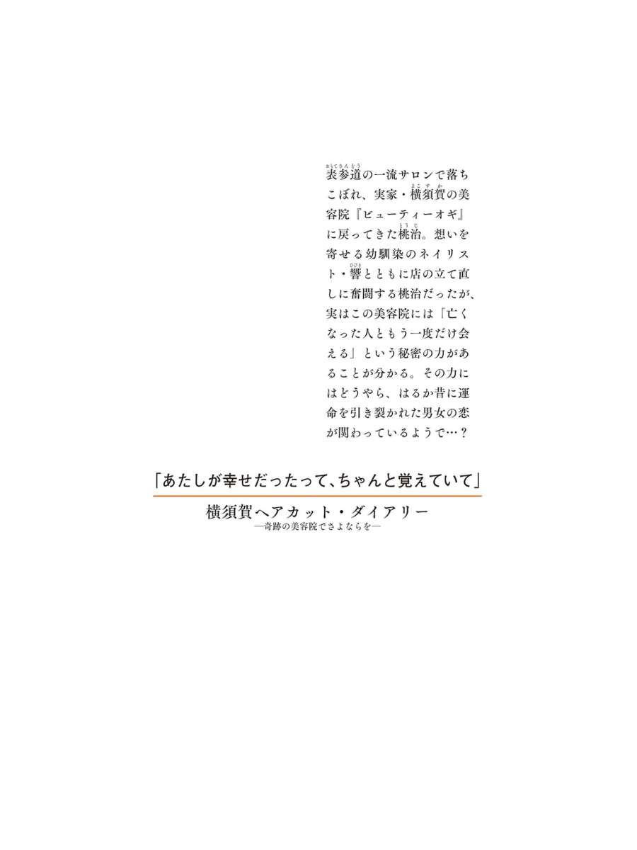 Yokosuka Haircut Diary: Sayonara at the Miraculous Hair Salon Japanese Novel