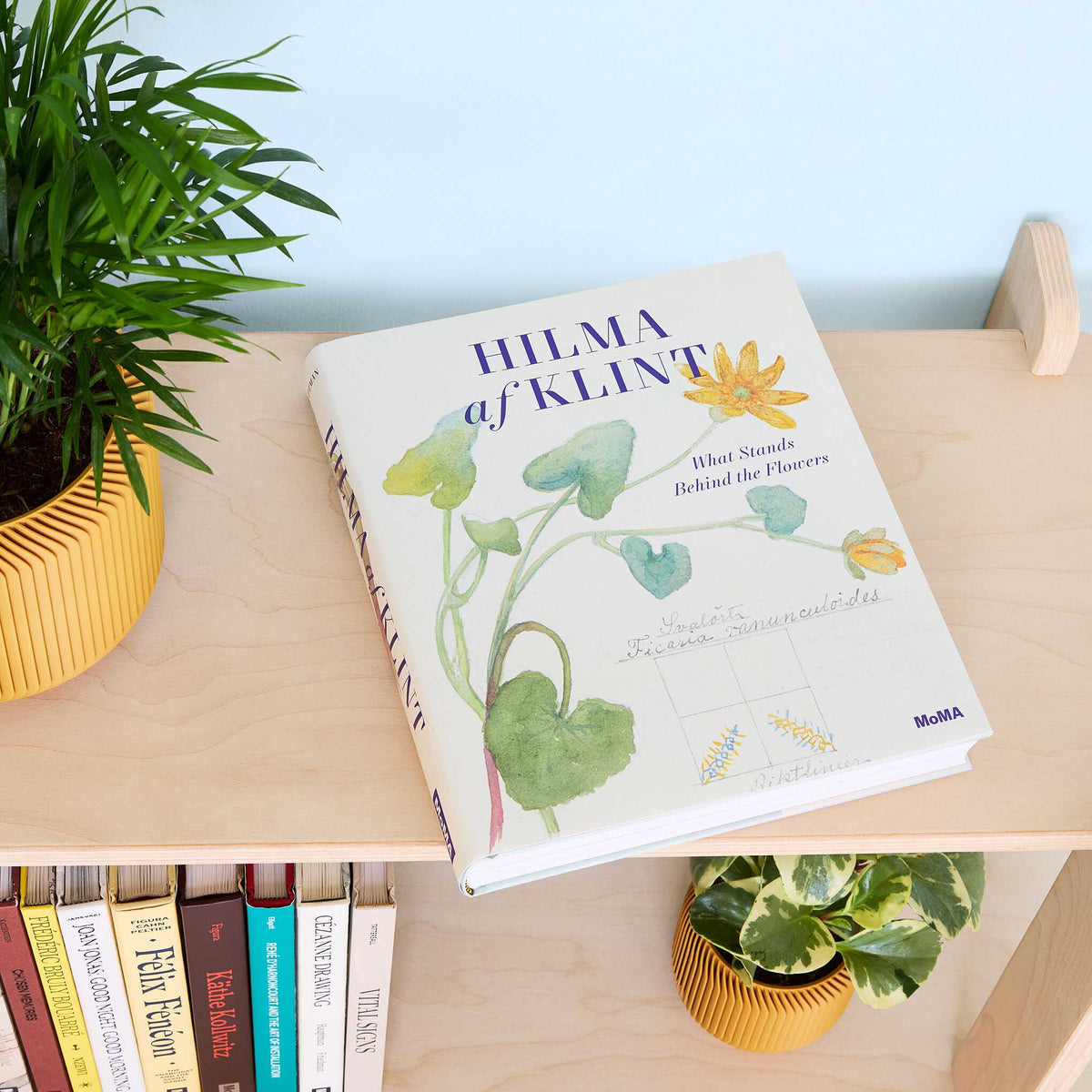 MoMA Hilma af Klint What Stands Behind the Flowers Hardcover Book