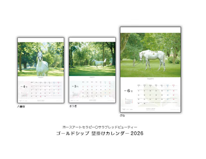 Gold Ship 2026 Wall Calendar A2