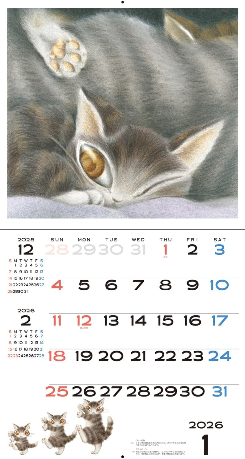 Wachifield Dayan 2026 Wall Calendar
