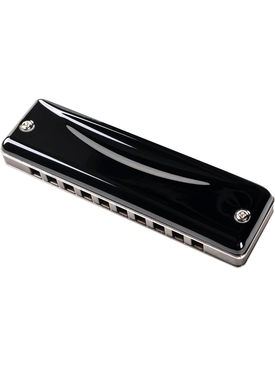 HAMMOND HA-20 10-Hole Diatonic Harmonica