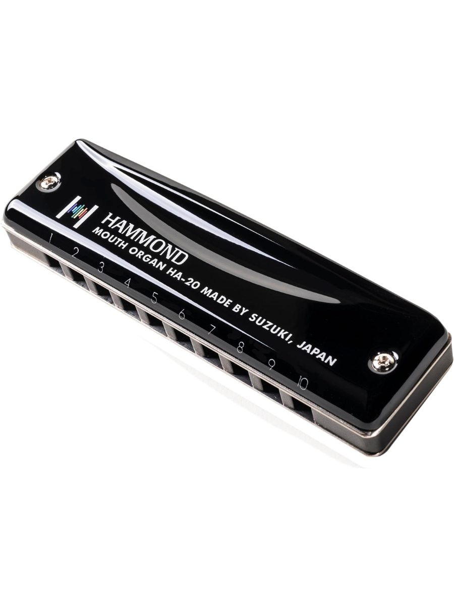 HAMMOND HA-20 10-Hole Diatonic Harmonica