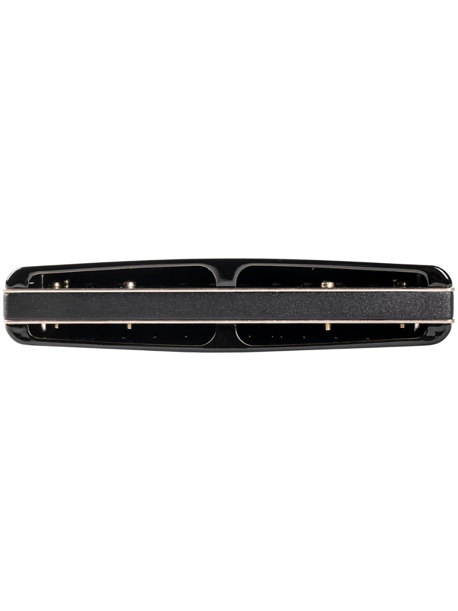 HAMMOND HA-20 10-Hole Diatonic Harmonica