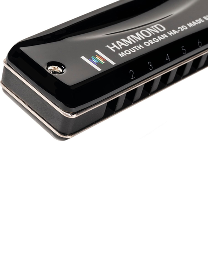 HAMMOND HA-20 10-Hole Diatonic Harmonica