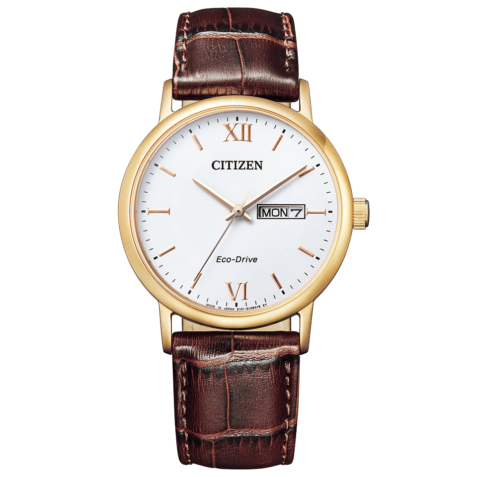 Citizen Collection Eco-Drive BM9012-02A Solar Watch