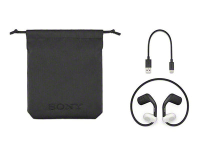 Sony Open-Ear Sports Wireless Headphones