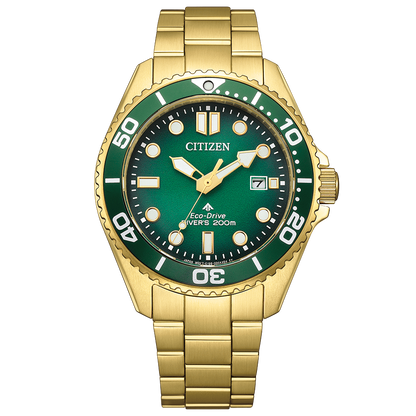 Citizen PROMASTER MARINE BN0262-59W Diver Watch Eco-Drive