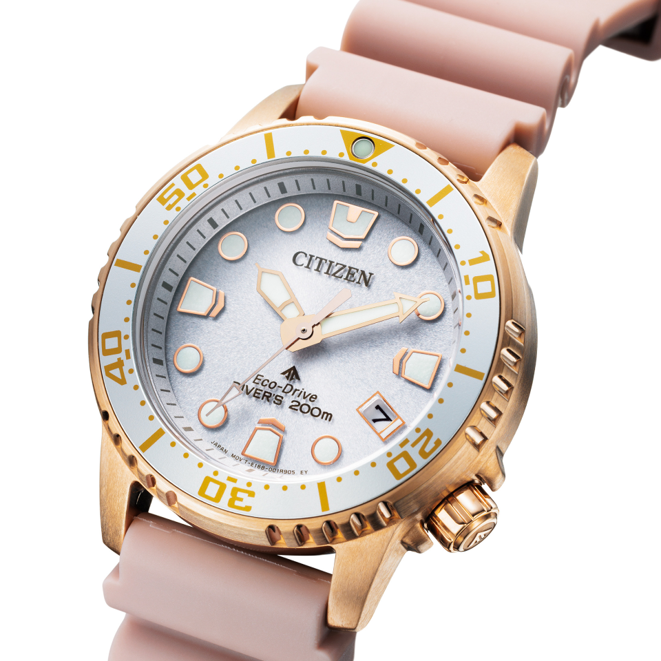 Citizen Promaster Marine Eco-Drive Diver Watch EO2023-00A