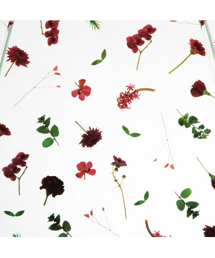 plantica×Wpc Flower Dome Vinyl Umbrella